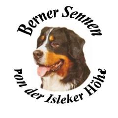 Berner Sennenwelpen