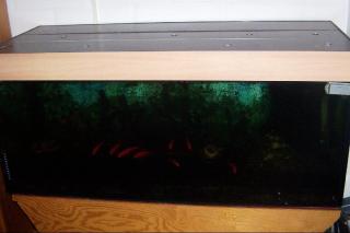 320 l Aquarium