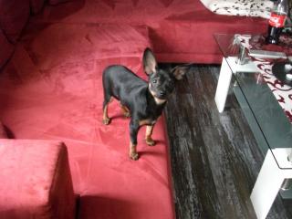 Suche ein neues Zuhause