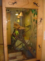 Grüner Leguan Terrarium