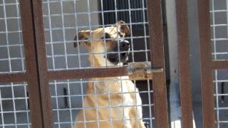 Mali hat eine Chance verdient