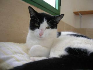Tina, einfach NUR NUR lieb