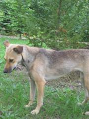 Nina sucht Kuschelkörbchen