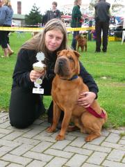 Internationale Rassehundeausstellung am 14. 6. 2021