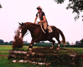 Mobiler Reitunterricht in der Nordheide, Lüneburg, HH-Süd