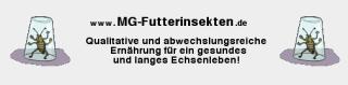 Www. mg-futterinsekten. de / Futterinsekten in höchster Qualität