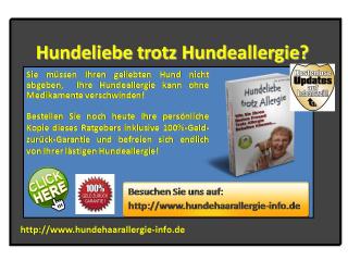 Wie Sie Ihren Hund trotz Hundeallergie behalten können.