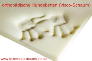 Massenphänomen Arthrose beim Hund