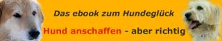 Hund anschaffen - aber richtig