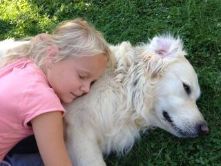 Liebevolle und zuverlässige HUNDEBETREUUNG Rund um die Uhr