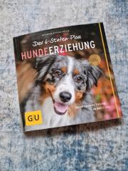 6 Stufen Plan Hundeerziehung