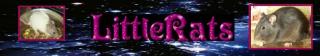 Littlerats Rattenzucht Hildesheim/Hannover