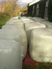 35 Ballen Rundballensilage bester Qualität