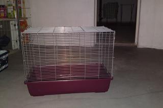 Meerschweinchen/Kaninchenkäfig