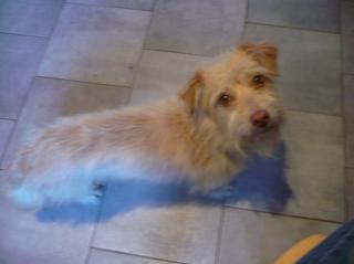 Bubi. 2021 geboren. sucht neues Zuhause