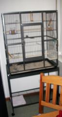 Zimmer Voliere mit zwei Kanarien