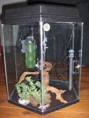 120l Aquarium auf VHB