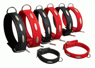 Hundehalsband Buffalo Silver