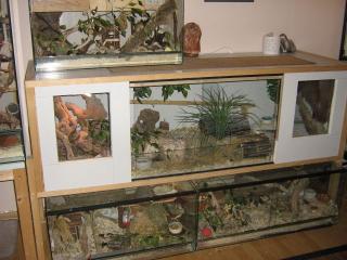 Holz-Terrarium 180x60x60cm