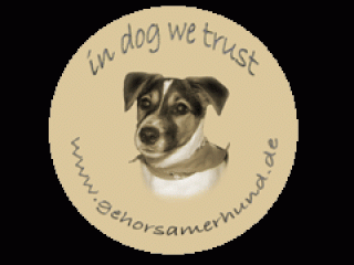 Gehorsamer Hund - Problemhundetrainer Nürnberg