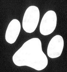 Petdomain. de Heimtierbedarf - Click und Schick