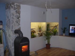 Terrarienbau nach Maß günstiger als Gebraucht