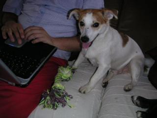 Spike und Sigge suchen dringend ein neues zu Hause