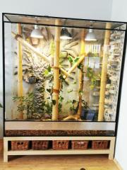 Terrarium
