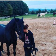Suche Reitbeteiligung