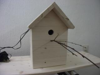 Nistkasten mit Kamera