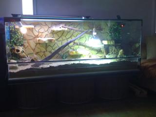 Terrarium Verkauf