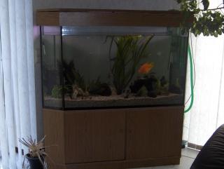 Komplettes 650 Liter Aquarium