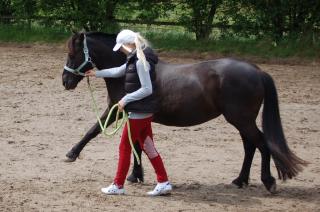 Hübsche Ponystute sucht Dich
