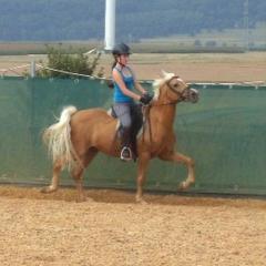 14 Jährige aus Stuttgart such Rb auf Pony in der Nähe