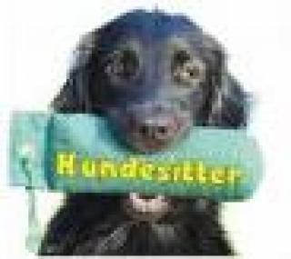 Suche Hundezubehör geschenkt
