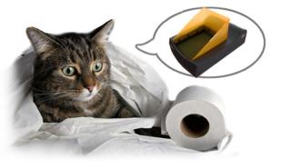 Nie mehr Katzenstreu schleppen