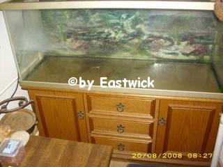 Aquarium 240 L mit Unterschrank