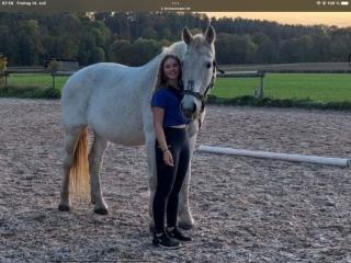 Reitbeteiligung/ Reiter sucht Pferd