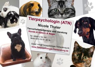 Problemhilfe für Tierbesitzer - Fachrichtung Hunde, Katzen, Nager
