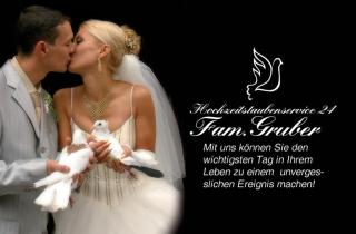 Hochzeitstauben PLZ 9 - Das Geschenk für die Hochzeit.