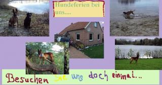 Auch Hund brauchen einmal Urlaub .