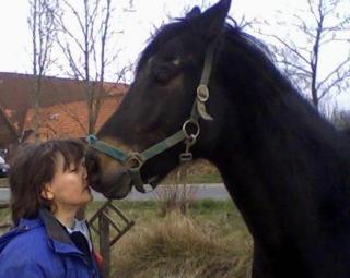 Das Tor zum Pferd - Reitunterricht und mehr
