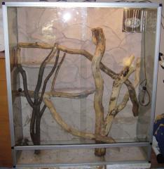 Grossraumterrarium
