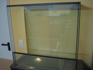 Grosses Glasterrarium 80 L x 80 B x 40 T cm