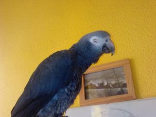 Hallo ich bin CoCo