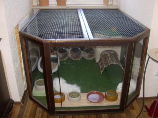 2 Kaninchen mit Kaefig und kompl Zubehoer