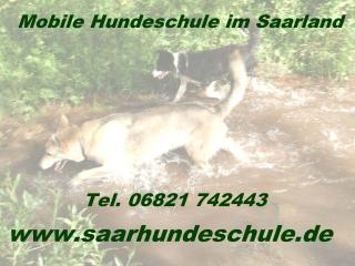 LesLoups - Hundeschule im Saarland