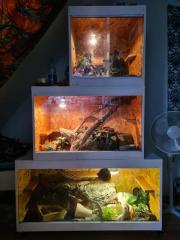 Terrarium und Zubehör