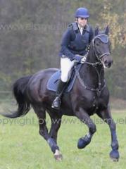 Zuverlässige Reitbeteiligung nach 84533 Haiming gesucht