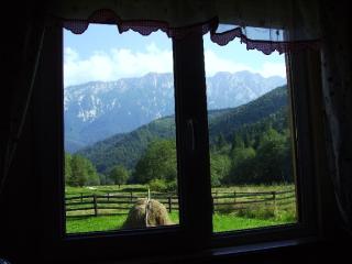 Urlaub mit Hund in den rumänischen Karpaten